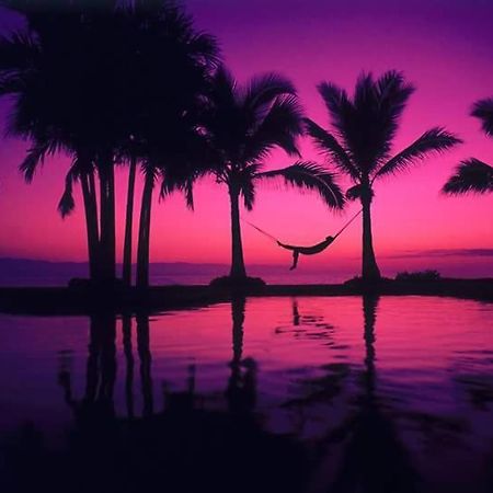 Casa Adriana Puerto Vallarta Dış mekan fotoğraf