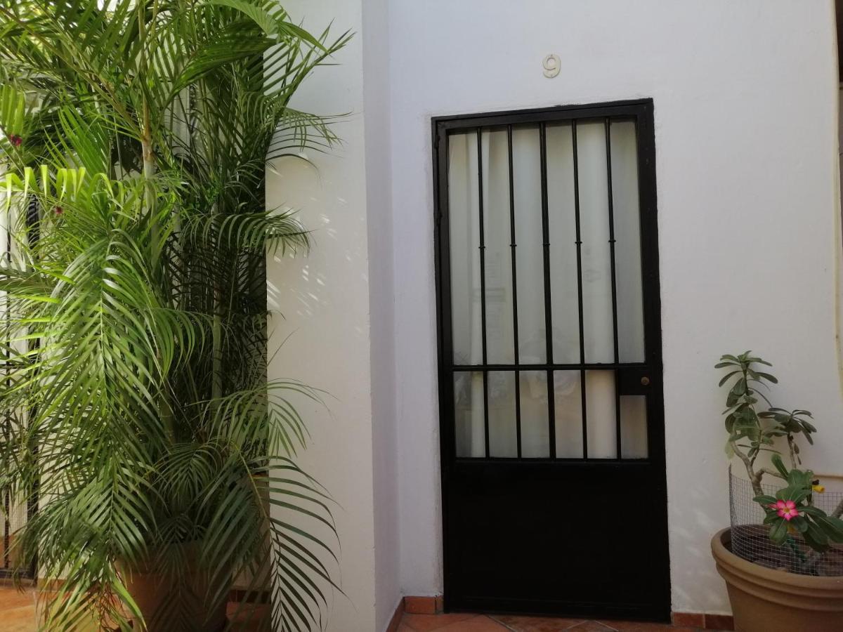 Casa Adriana Puerto Vallarta Dış mekan fotoğraf