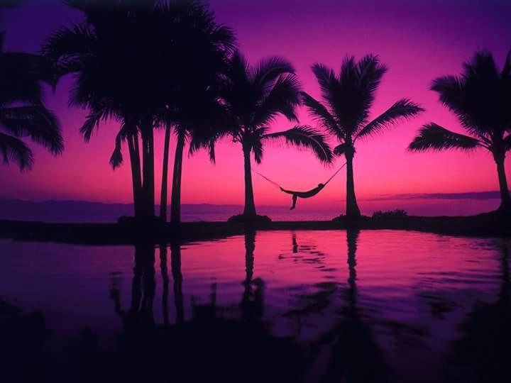 Casa Adriana Puerto Vallarta Dış mekan fotoğraf